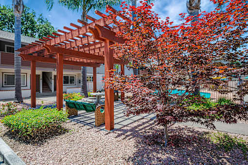 A red tree with orange leaves is in front of a building.