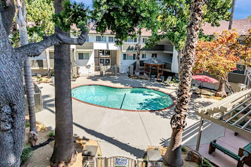 A pool surrounded by trees and a building in the background.