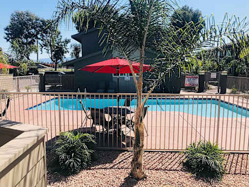 A pool surrounded by a fence and a tree.