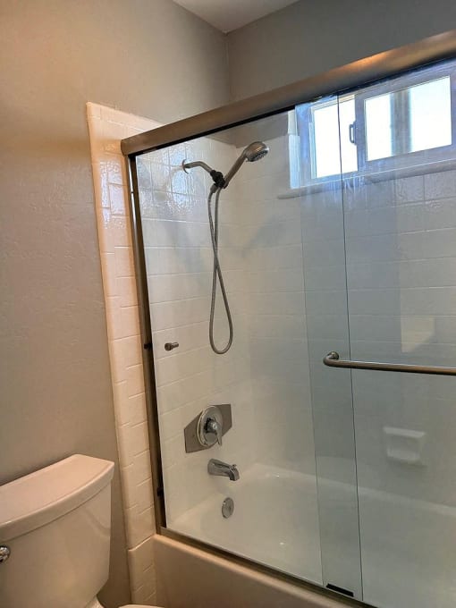 a bathroom with a shower and a toilet