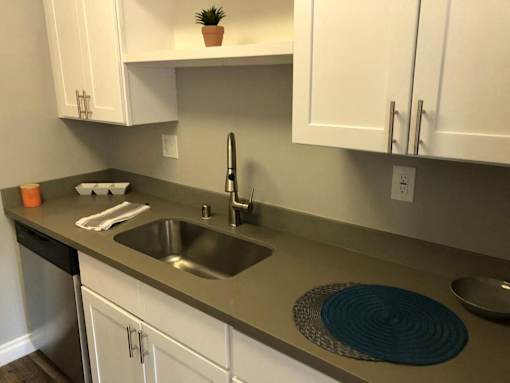A kitchen with a sink and a plant on the counter.