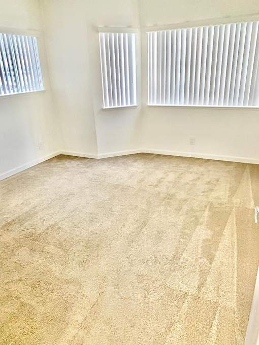 A room with a tan carpet and two windows with blinds.