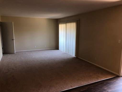 A room with a carpeted floor and a sliding glass door.