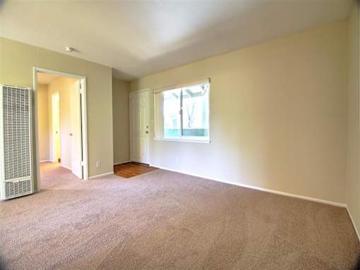 A room with a carpeted floor and a window with a white frame.