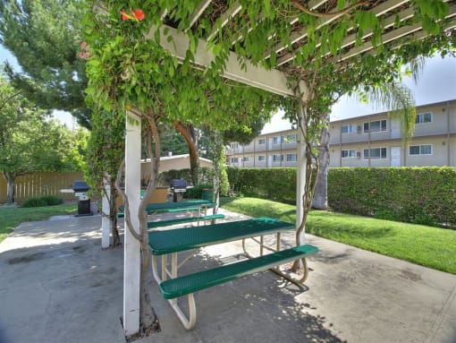 Picnic Area at The Arbors at Mountain View, Mountain View, CA