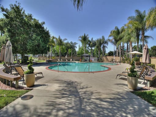 sparkling swimming pool at The Arbors at Mountain View, Mountain View, 94040