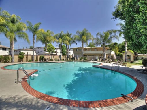 expansive swimming pool with palm trees at The Arbors at Mountain View, Mountain View, CA, 94040