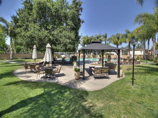 grass space and chairs with umbrellas at The Arbors at Mountain View, Mountain View, 94040