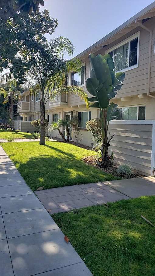 A tree in a front yard of a residential building.
