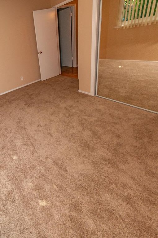 a room with a carpeted floor and a mirror