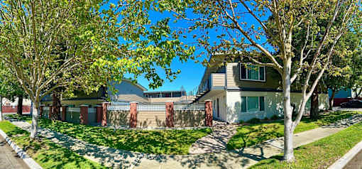 A house with a white fence and a tree in front.