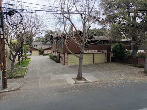 A tree in a front yard of a house.