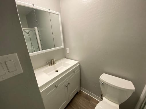 a bathroom with a toilet and a sink and a mirror