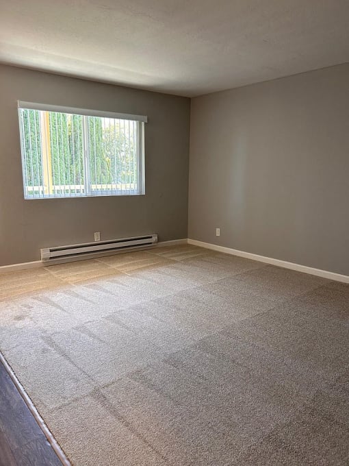 an empty room with carpet and a window