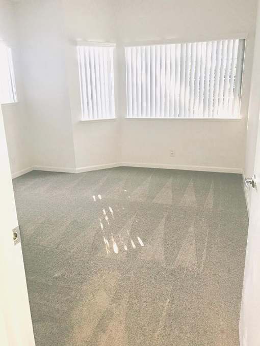 A room with a carpet and two windows.