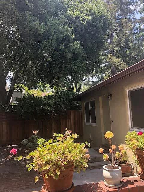 A patio with potted plants and a house in the background.