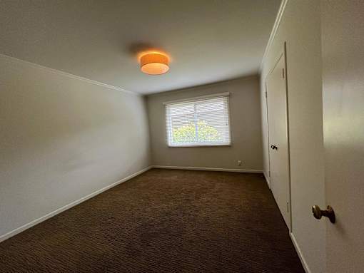 A room with a brown carpet and a window with blinds.