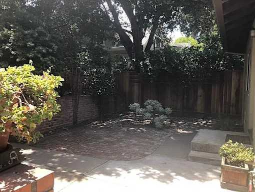 A backyard with a tree, bushes, and a brick patio.