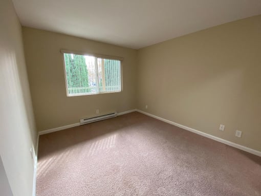 a large empty room with carpet and a window