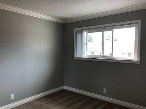 A room with a window and a striped carpet.