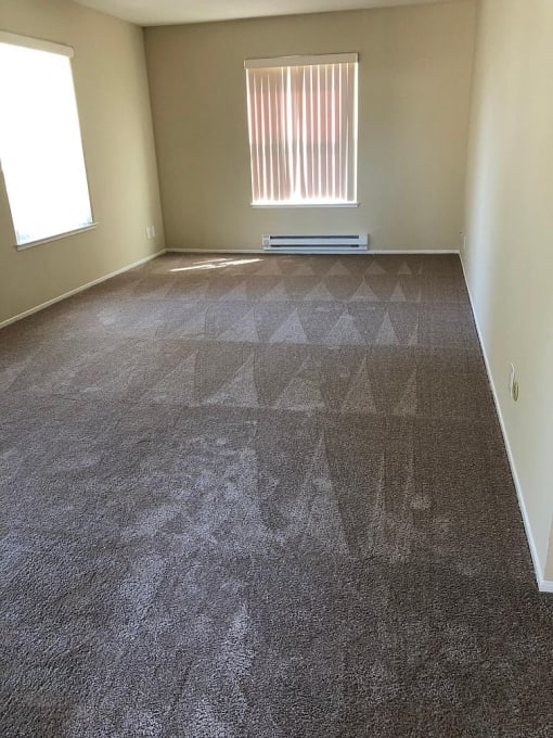 an empty room with a carpeted floor and a window
