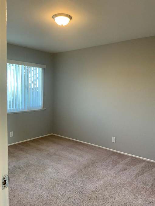 A room with a carpeted floor and a window with curtains.