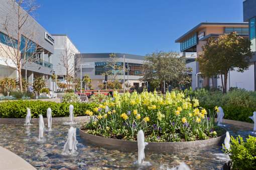A fountain with water jets and yellow flowers in the foreground with a building in the background.