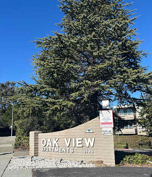 A sign for Oak View Apartments is in front of a tree.