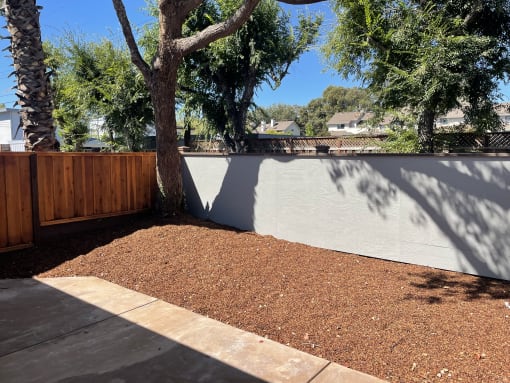 New fence with new