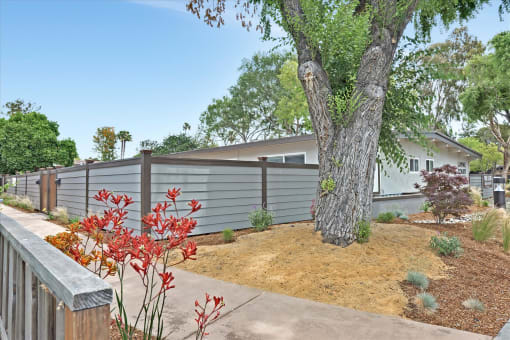 Exterior landscape image 2