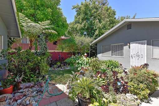 A garden with a variety of plants and a red hose.