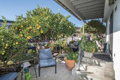 a patio with a table and chairs and an orange tree