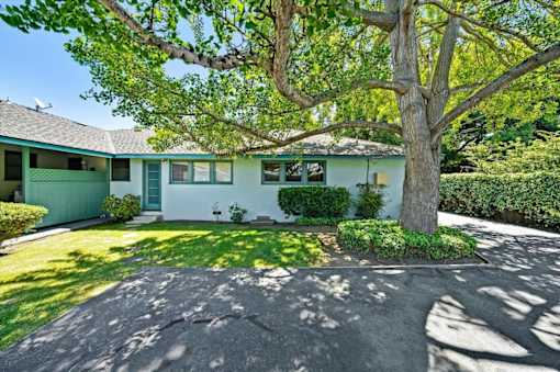 a blue house with a large tree and a driveway