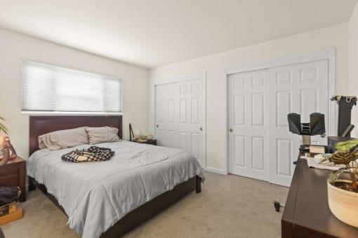 a bedroom with a bed and a closet