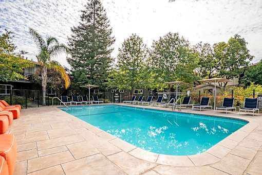 a swimming pool with chairs and a curtain of trees around it