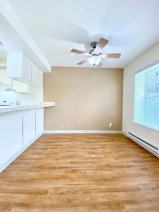 Ceiling Fan In Living Room at Normandy Park, California