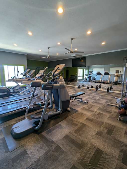 A gym with treadmills, elliptical machines, and weights.