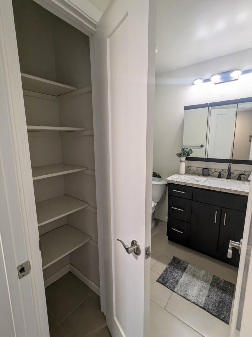 a walk in closet in a bathroom with a sink and a toilet