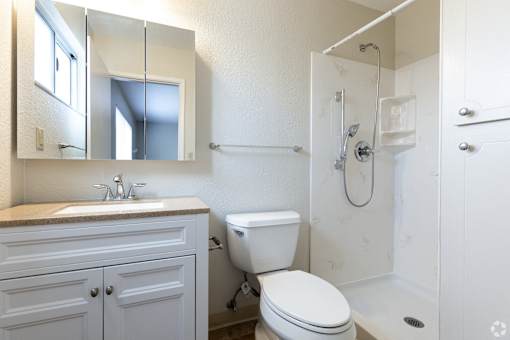 a bathroom with a toilet and a sink and a shower