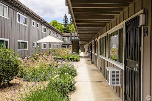 a walkway between a row of buildings with plants and flowers