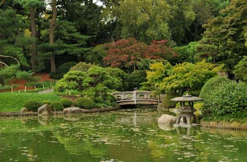 a garden with a pond and a bridge