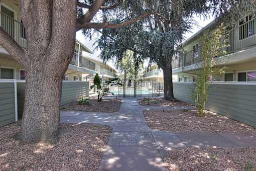 Backyard View at Mountain View Place, California, 94040