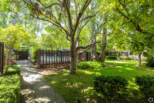 a yard with trees and a fence
