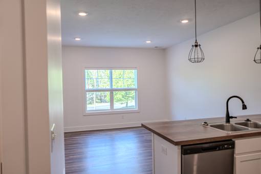 A kitchen with a sink and a window.