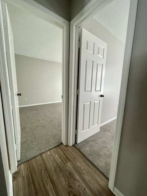 A white door is open to a room with a carpeted floor.