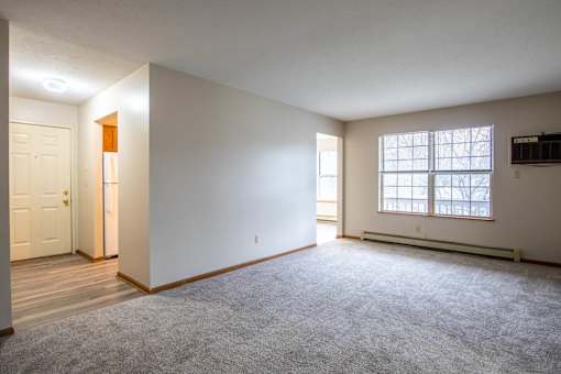 A room with a carpeted floor and a window.