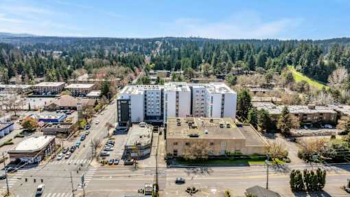 Aerial view of neighborhood at Altaire at Jackson Park, Seattle, Washington