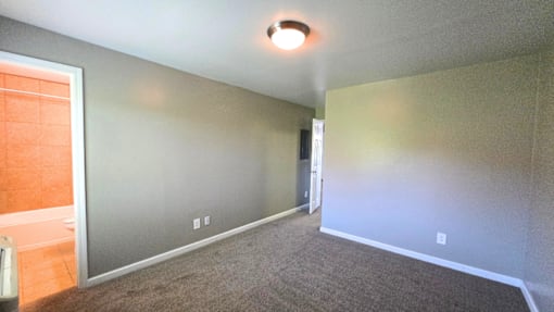 A room with a carpeted floor and a ceiling light at Maplehurst Apartments, Tennessee 37902