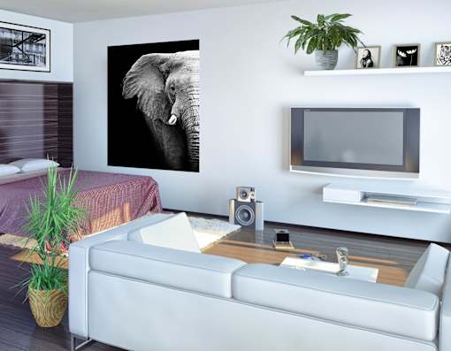 A living room with a white couch and a large elephant picture on the wall.