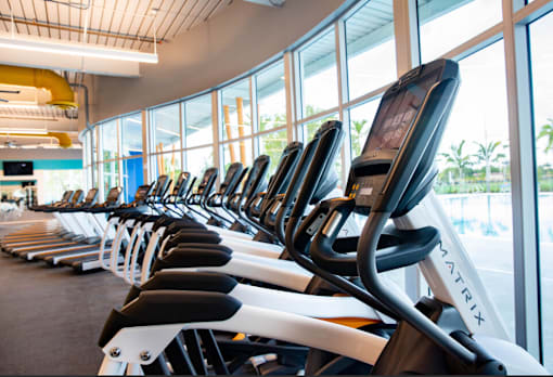 A row of treadmills are lined up in a gym.